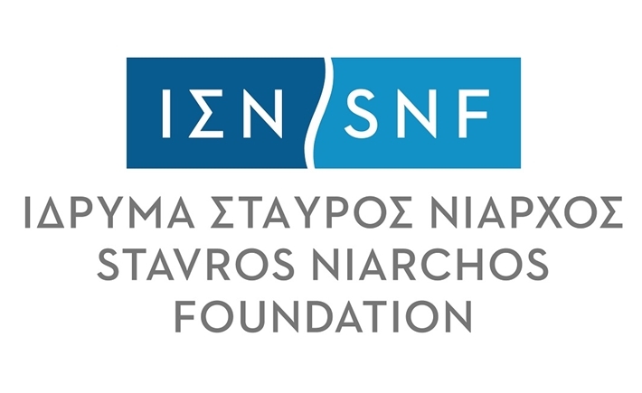 Logo SNF Website