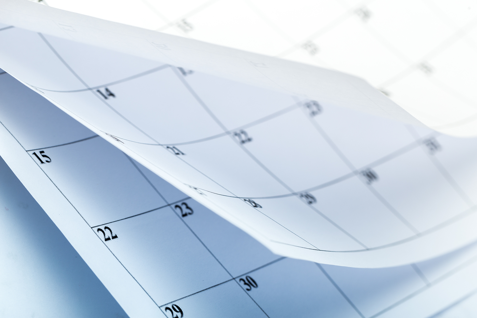 Pages of a blank calendar