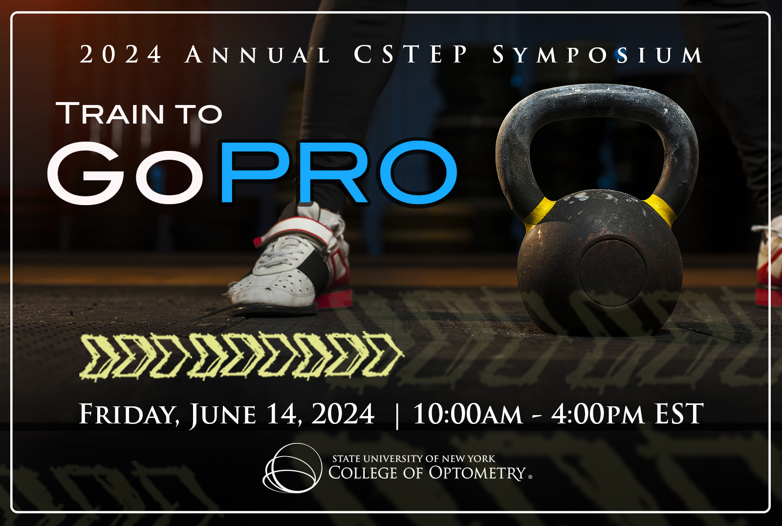 CSTEP Symposium GoPro 2024