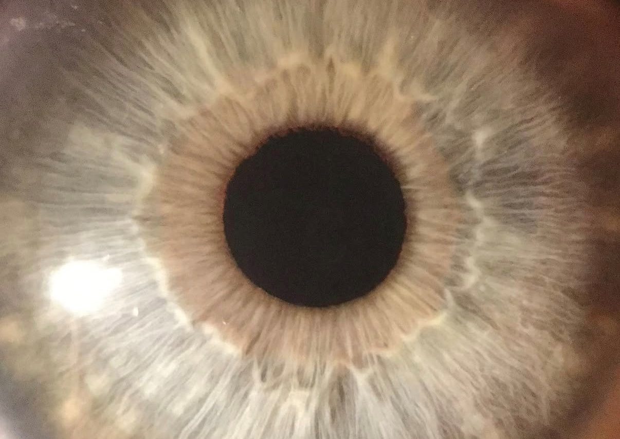 Close up of blue eye ball