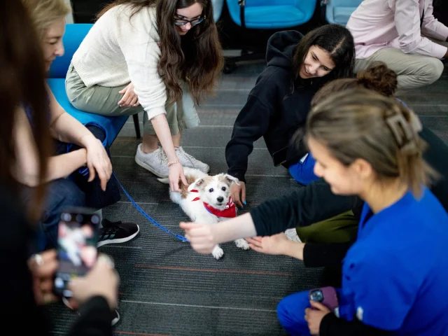 Nothing beats finals stress like a visit from our furry friends!  Grateful for these service dogs who reminded us to breathe, smile, and keep going. 

#FinalsWeek #SUNYOptometry #WellnessWeek